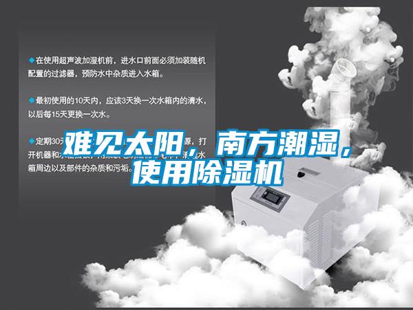 難見太陽，南方潮濕，使用除濕機