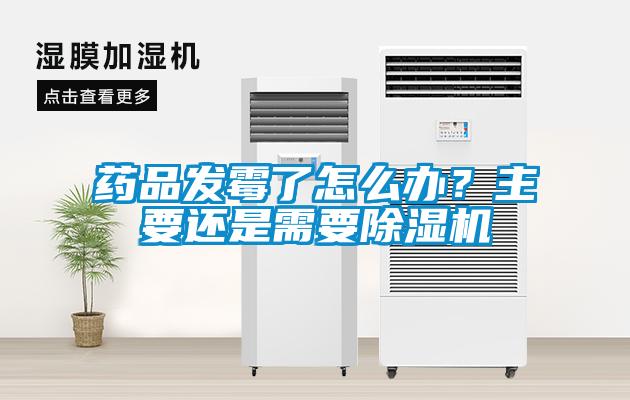 藥品發(fā)霉了怎么辦？主要還是需要除濕機(jī)
