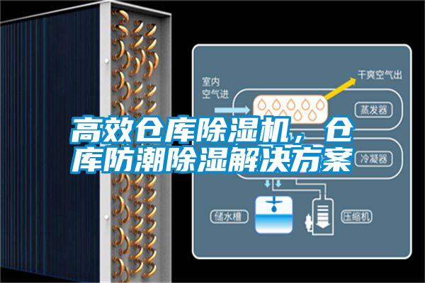 高效倉庫除濕機(jī)，倉庫防潮除濕解決方案