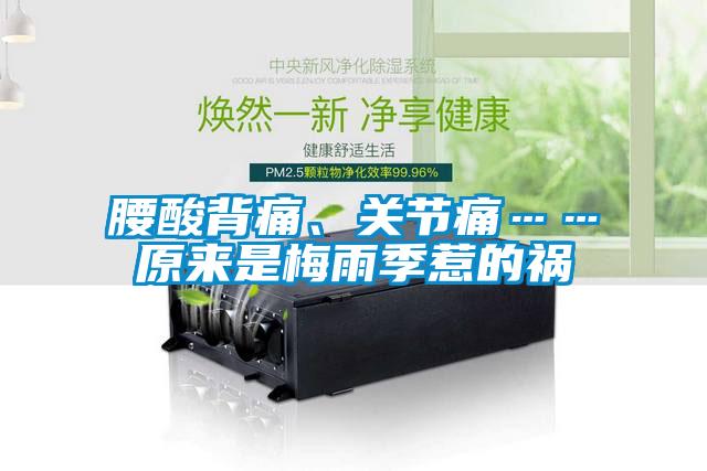 腰酸背痛、關節(jié)痛……原來是梅雨季惹的禍