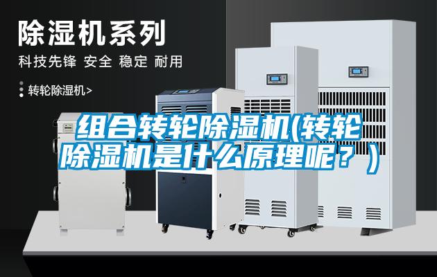 組合轉(zhuǎn)輪除濕機(轉(zhuǎn)輪除濕機是什么原理呢？)