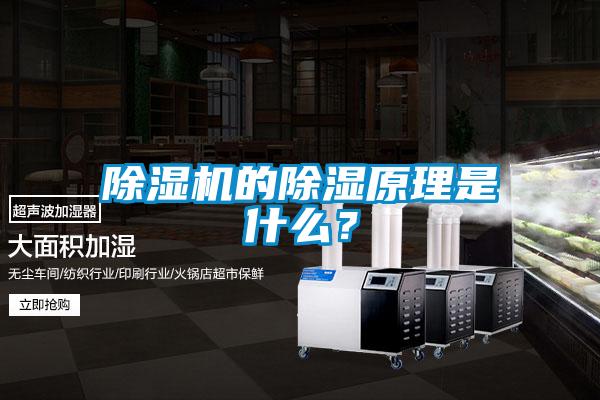 除濕機(jī)的除濕原理是什么？