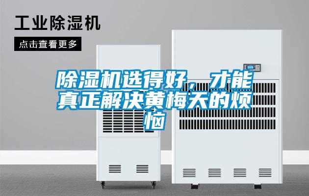 除濕機(jī)選得好，才能真正解決黃梅天的煩惱
