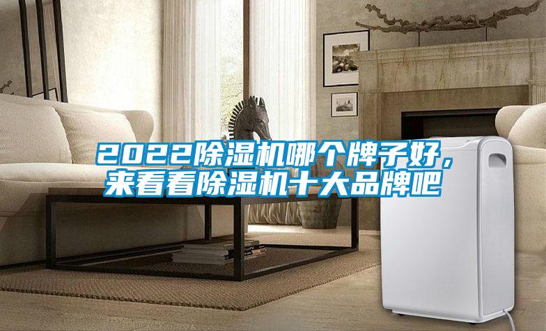 2022除濕機(jī)哪個(gè)牌子好，來(lái)看看除濕機(jī)十大品牌吧