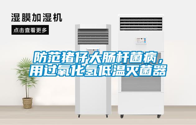 防范豬仔大腸桿菌病，用過氧化氫低溫滅菌器