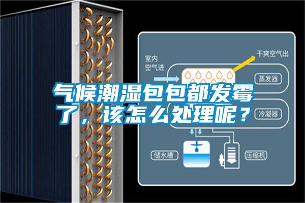 氣候潮濕包包都發(fā)霉了，該怎么處理呢？