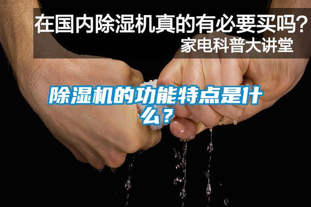 除濕機(jī)的功能特點(diǎn)是什么？