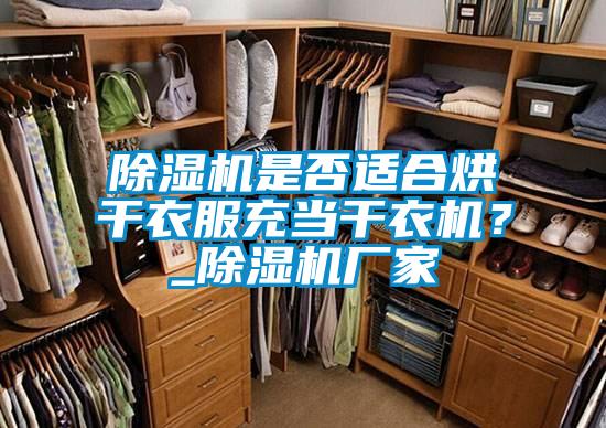 除濕機(jī)是否適合烘干衣服充當(dāng)干衣機(jī)？_除濕機(jī)廠家