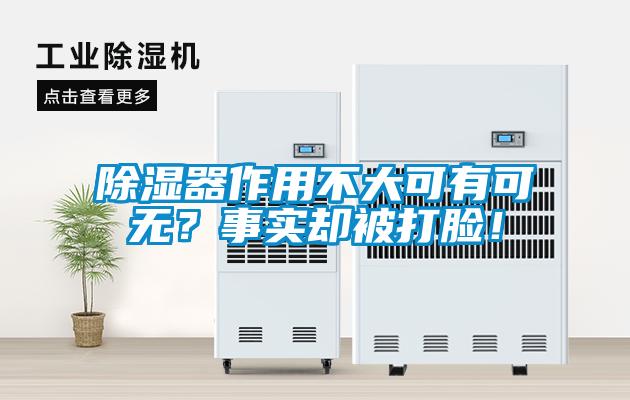 除濕器作用不大可有可無(wú)？事實(shí)卻被打臉！