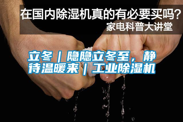 立冬｜隱隱立冬至，靜待溫暖來｜工業(yè)除濕機(jī)