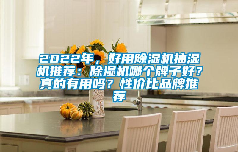 2022年，好用除濕機(jī)抽濕機(jī)推薦：除濕機(jī)哪個(gè)牌子好？真的有用嗎？性價(jià)比品牌推薦