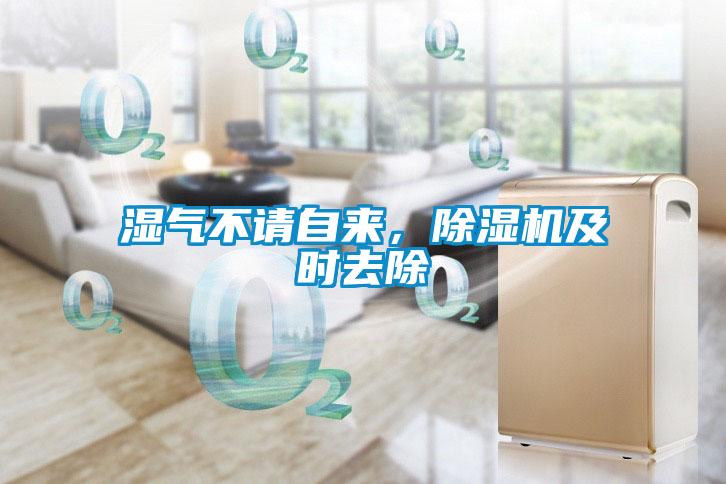 濕氣不請自來，除濕機(jī)及時去除