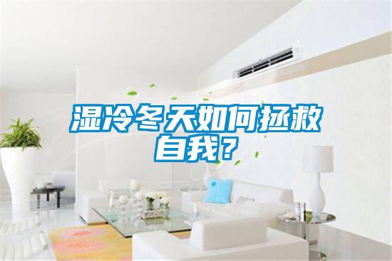 濕冷冬天如何拯救自我？