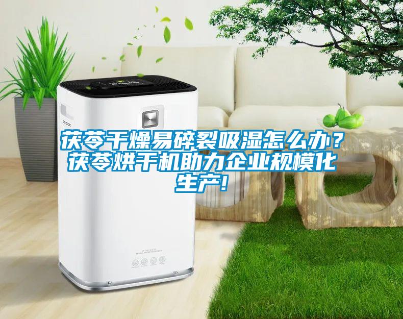 茯苓干燥易碎裂吸濕怎么辦？茯苓烘干機(jī)助力企業(yè)規(guī)?；a(chǎn)!