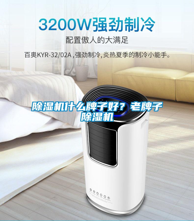 除濕機什么牌子好？老牌子除濕機