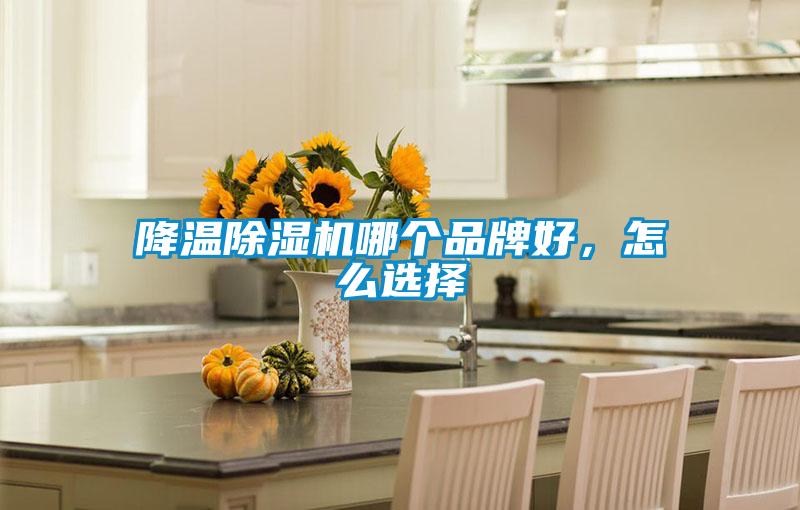 降溫除濕機哪個品牌好，怎么選擇