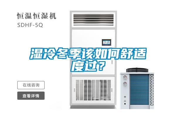 濕冷冬季該如何舒適度過(guò)？
