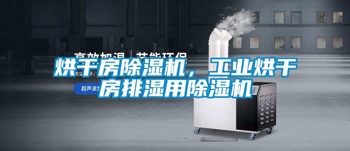烘干房除濕機(jī)，工業(yè)烘干房排濕用除濕機(jī)