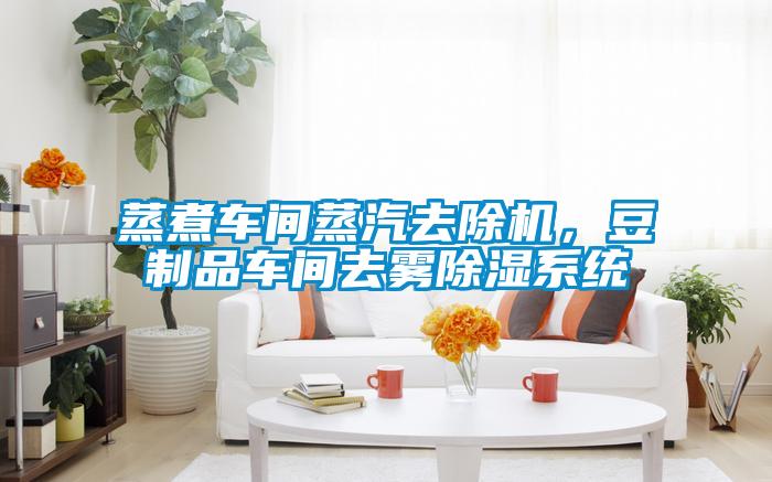 蒸煮車間蒸汽去除機(jī)，豆制品車間去霧除濕系統(tǒng)