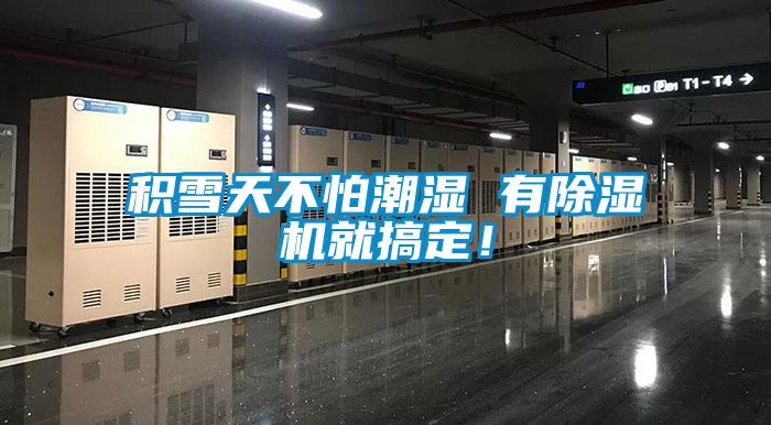 積雪天不怕潮濕 有除濕機(jī)就搞定！