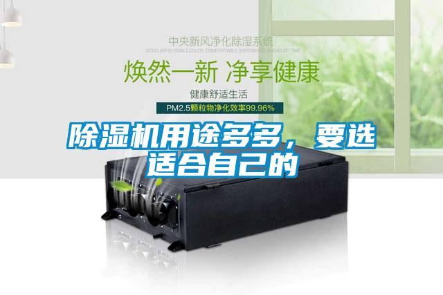 除濕機用途多多，要選適合自己的