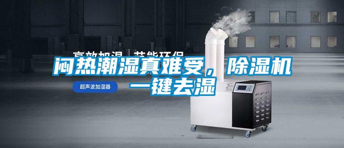 悶熱潮濕真難受，除濕機(jī)一鍵去濕
