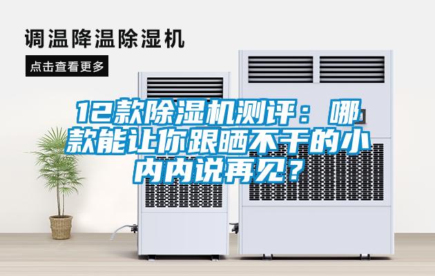 12款除濕機(jī)測(cè)評(píng)：哪款能讓你跟曬不干的小內(nèi)內(nèi)說再見？