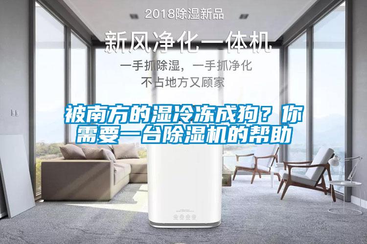 被南方的濕冷凍成狗？你需要一臺(tái)除濕機(jī)的幫助