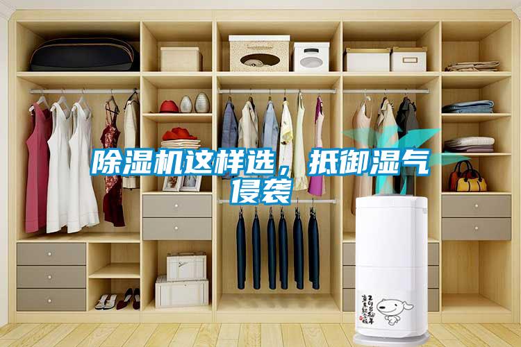 除濕機(jī)這樣選，抵御濕氣侵襲