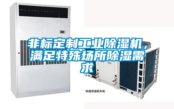 非標定制工業(yè)除濕機，滿足特殊場所除濕需求