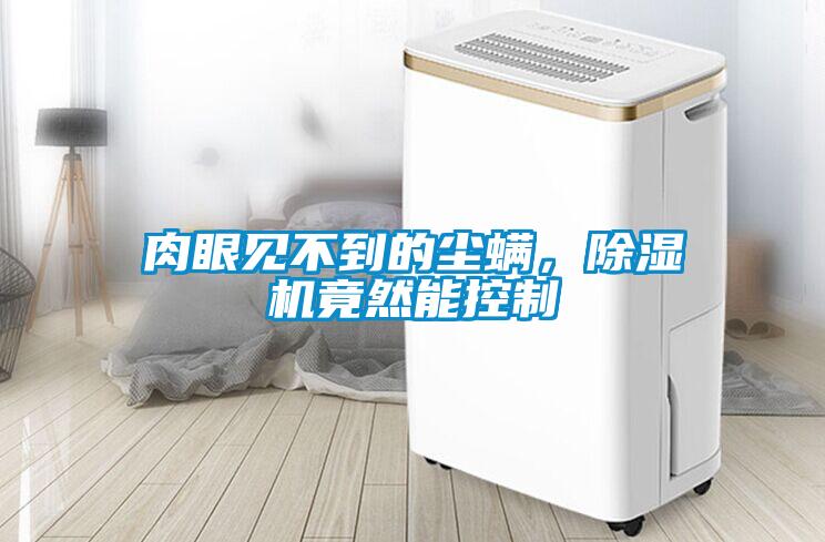 肉眼見不到的塵螨，除濕機竟然能控制