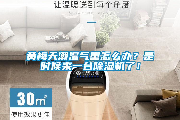 黃梅天潮濕氣重怎么辦？是時(shí)候來(lái)一臺(tái)除濕機(jī)了！