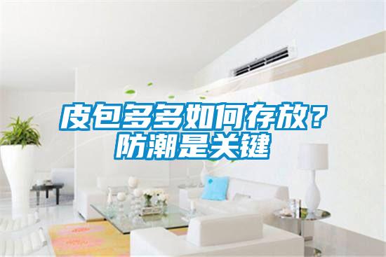 皮包多多如何存放？防潮是關鍵