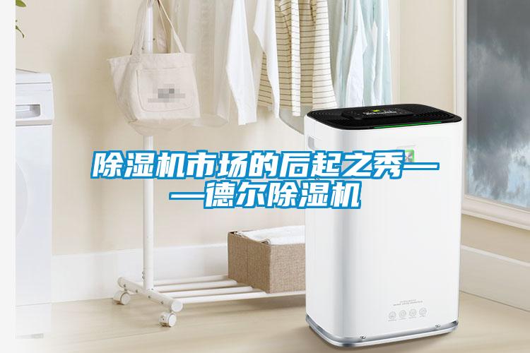除濕機(jī)市場(chǎng)的后起之秀——德?tīng)柍凉駲C(jī)