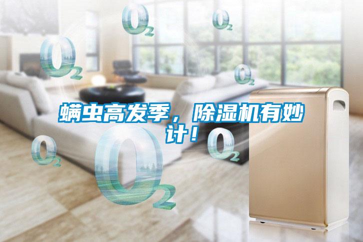 螨蟲(chóng)高發(fā)季，除濕機(jī)有妙計(jì)！