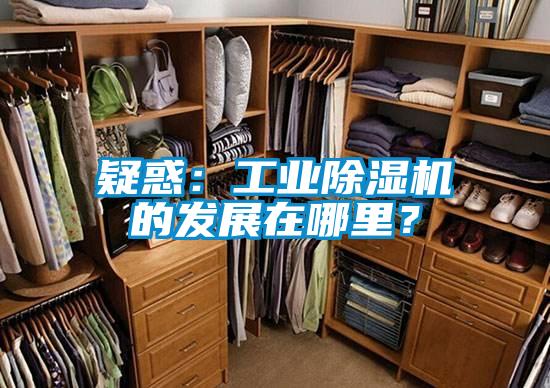 疑惑：工業(yè)除濕機的發(fā)展在哪里？