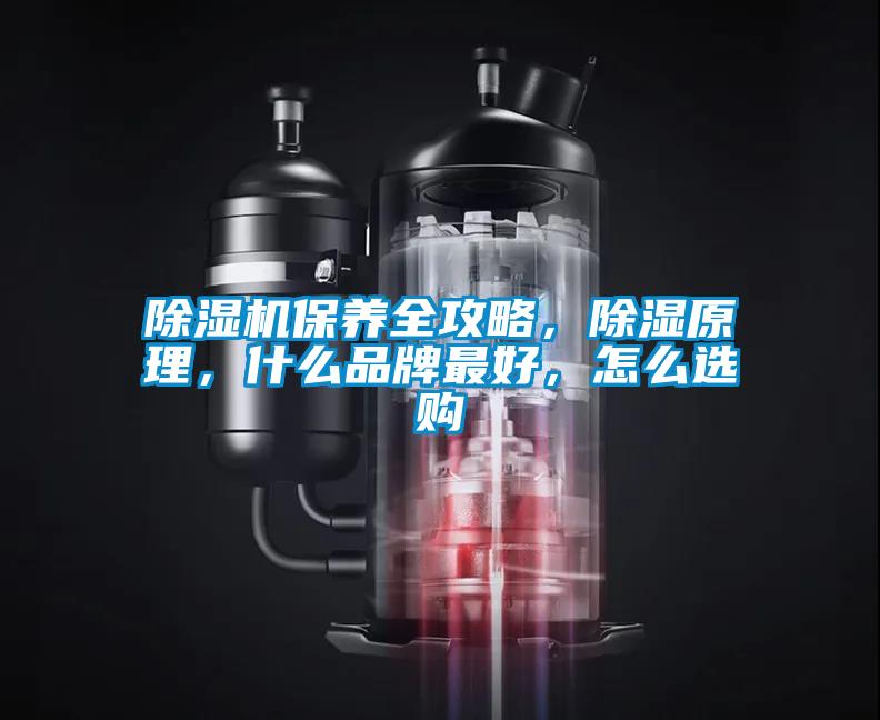 除濕機(jī)保養(yǎng)全攻略，除濕原理，什么品牌最好，怎么選購
