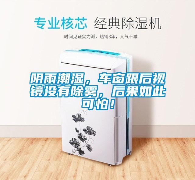 陰雨潮濕，車窗跟后視鏡沒(méi)有除霧，后果如此可怕！