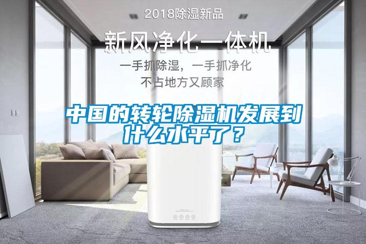 中國(guó)的轉(zhuǎn)輪除濕機(jī)發(fā)展到什么水平了？