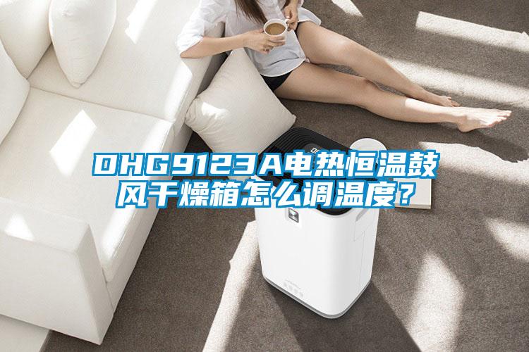 DHG9123A電熱恒溫鼓風(fēng)干燥箱怎么調(diào)溫度？
