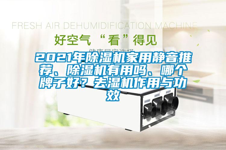 2021年除濕機家用靜音推薦、除濕機有用嗎、哪個牌子好？去濕機作用與功效