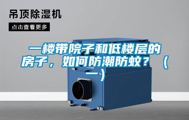 一樓帶院子和低樓層的房子，如何防潮防蚊？（一）