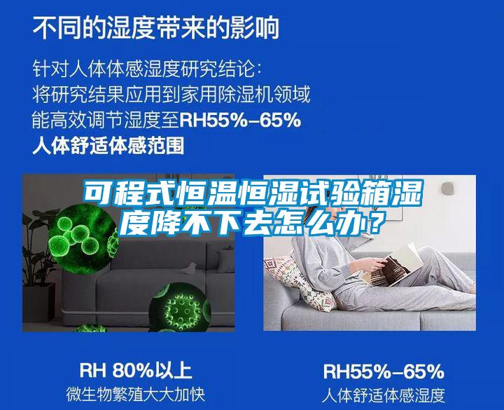 可程式恒溫恒濕試驗(yàn)箱濕度降不下去怎么辦？