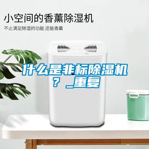 什么是非標除濕機？_重復