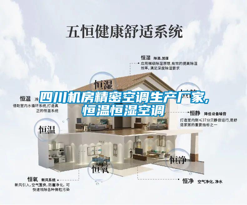 四川機(jī)房精密空調(diào)生產(chǎn)廠(chǎng)家,恒溫恒濕空調(diào)