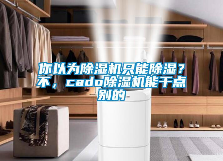 你以為除濕機只能除濕？不，cado除濕機能干點別的