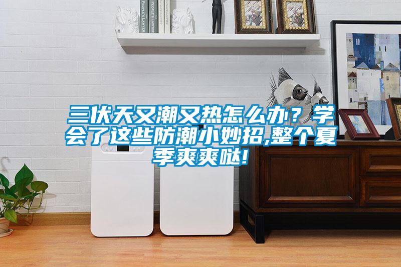 三伏天又潮又熱怎么辦？學(xué)會(huì)了這些防潮小妙招,整個(gè)夏季爽爽噠!