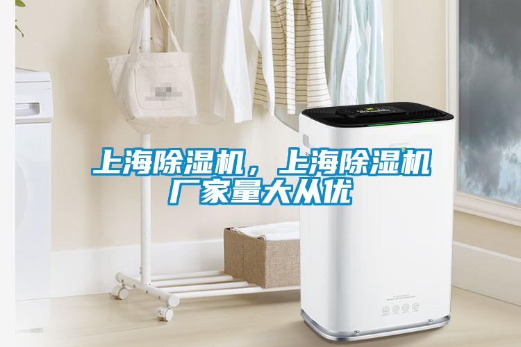 上海除濕機(jī)，上海除濕機(jī)廠家量大從優(yōu)