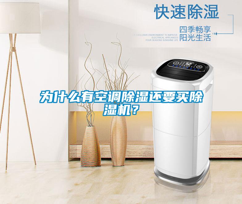 為什么有空調(diào)除濕還要買除濕機(jī)？