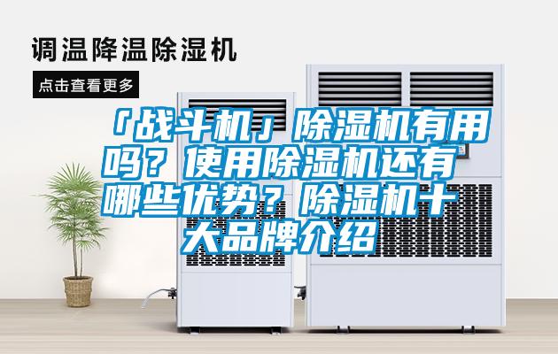 「戰(zhàn)斗機(jī)」除濕機(jī)有用嗎？使用除濕機(jī)還有哪些優(yōu)勢？除濕機(jī)十大品牌介紹